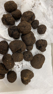 Tartufo Nero Pregiato Orto