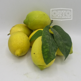 Limoni Verdello buccia edibile (500gr, circa 4 frutti)