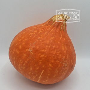 Zucca Okkaido (circa 1 kg)