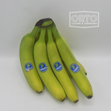 Banane Chiquita (al Kg, circa 4/5 frutti)