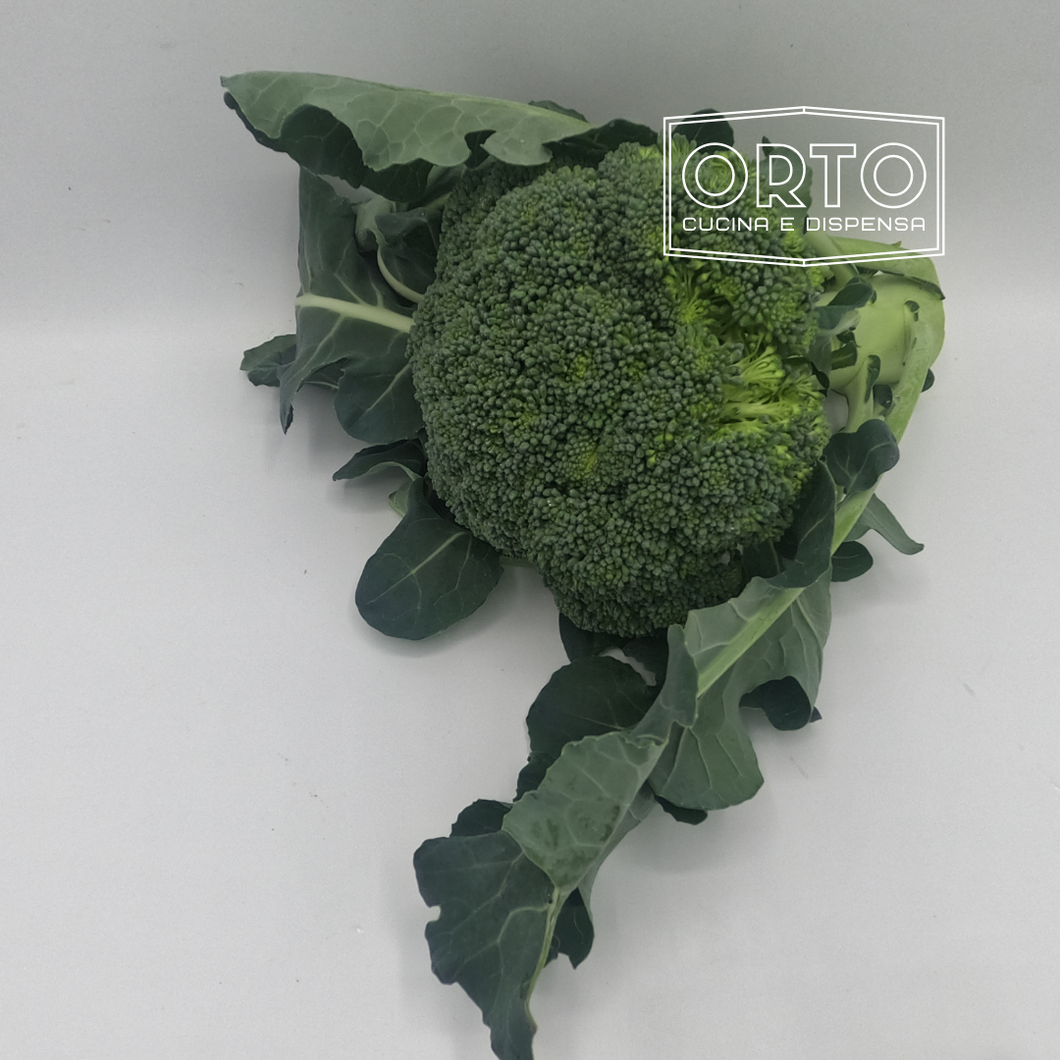 Broccolo Siciliano (al Kg, circa 2/3 pezzi)